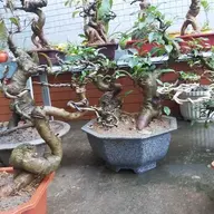 0937073031