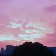Tienha