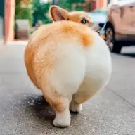 Beotapgym
