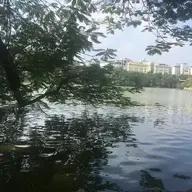 Czzzzz