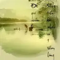 Dũng Pro