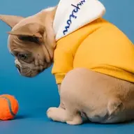 minhduc21