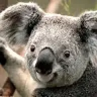 Gggtt
