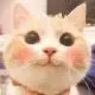 Xiao Jiao