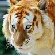 Garuu