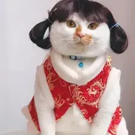 Mimimomomimomomi