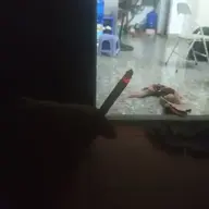 Jukiba101