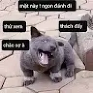 Daohankoo88