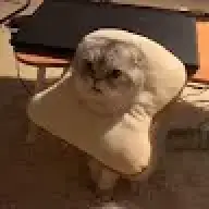 quynhpham0000