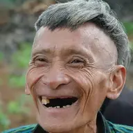 Thinhvi