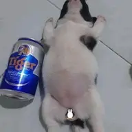 Giọt nắng pha lê