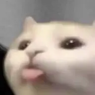 NgTa