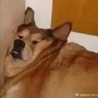 Hieudz69