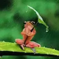 kuitobb