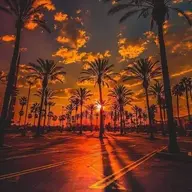 Anh 2 votinh