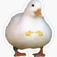 bincute13245678