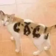 Taoprokemetao