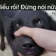 hlinh111