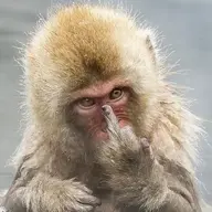 khigiojp
