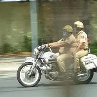 Địt cả thế giới