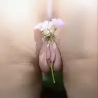 xamxx