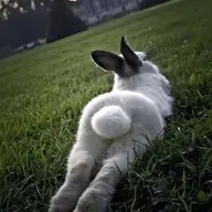 bunnyskinny