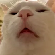 Ntanh123