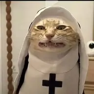 xàmleee