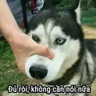 Hkhkfc12