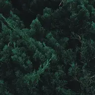 KoConJ
