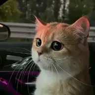 nongdanrikc