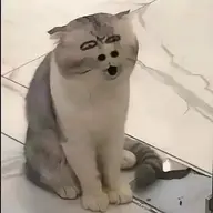 Emperorr