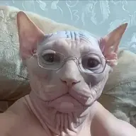Trở về từ cõi chết