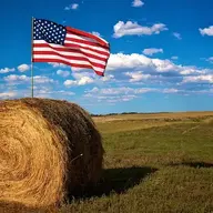 Hai lúa quê mùa