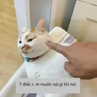 yeulasailam