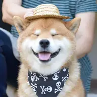 ShipperSatan