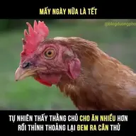 Phumyhung