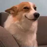 Thế hệ cợt nhả mệt hết cả ng