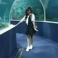 tik tok
