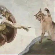 Ioyu