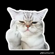 Tô mặc