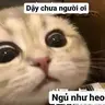cumalo