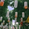 Tiểu Chương Lang