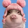 caygayden