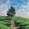 Haidangg3007
