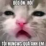 :VVV