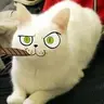 mibumega