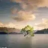 Eggg