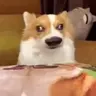 nhozhon
