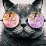 meoden0291